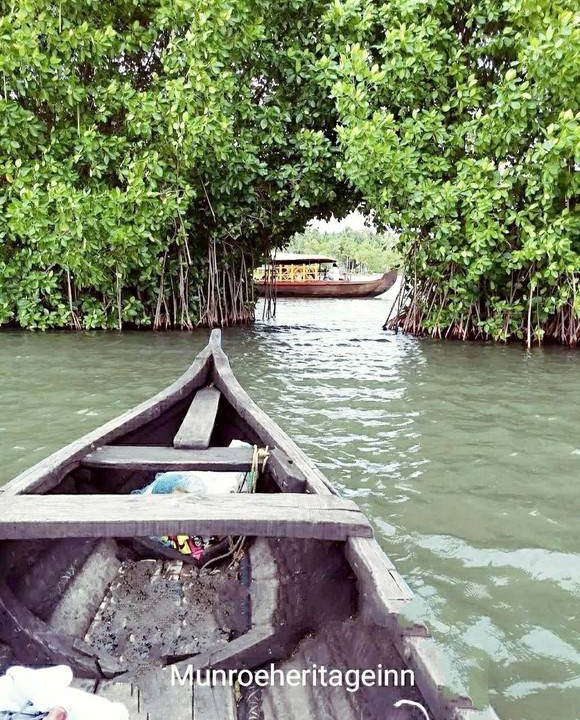 Photo of Others in Munroe Island