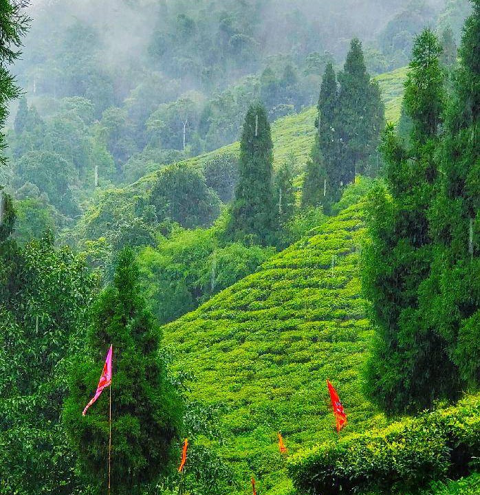 Photo of Others in Mirik