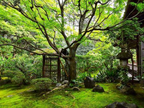 Photo of Others in Shimogyo
