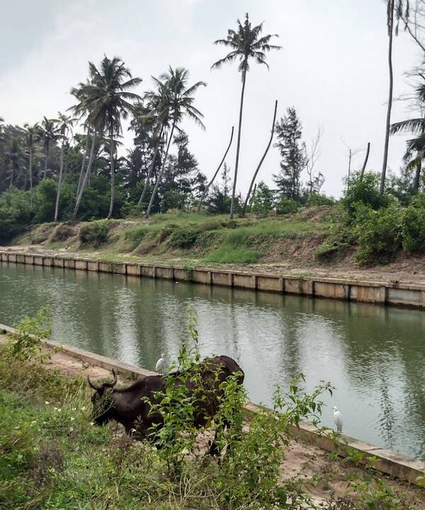 Photo of Others in Chirayinkil