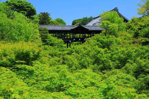 Photo of Others in Shimogyo