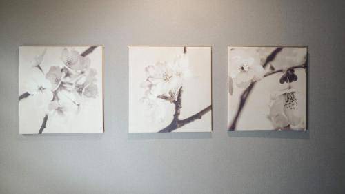 Photo of Others in Fushimi