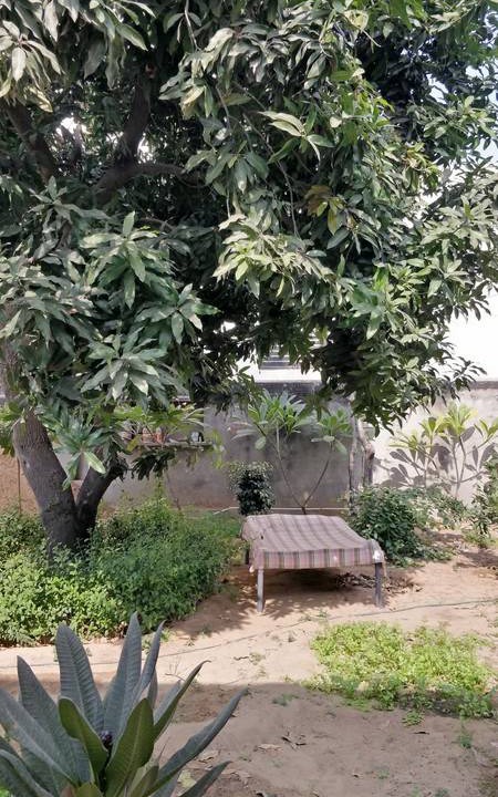 Photo of Others in Durgapura