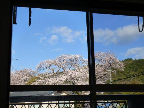 Photo of Others in Nishikyo