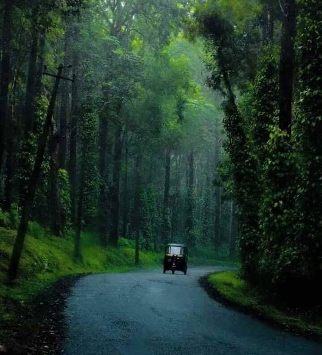 Photo of Others in Somvarpet