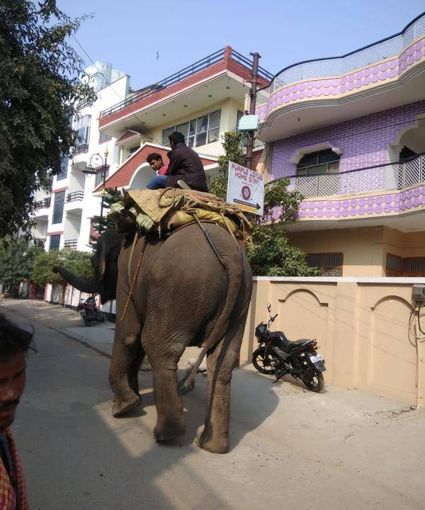 Photo of Others in Varanasi