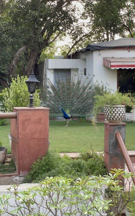 Photo of Others in Sainik Farm