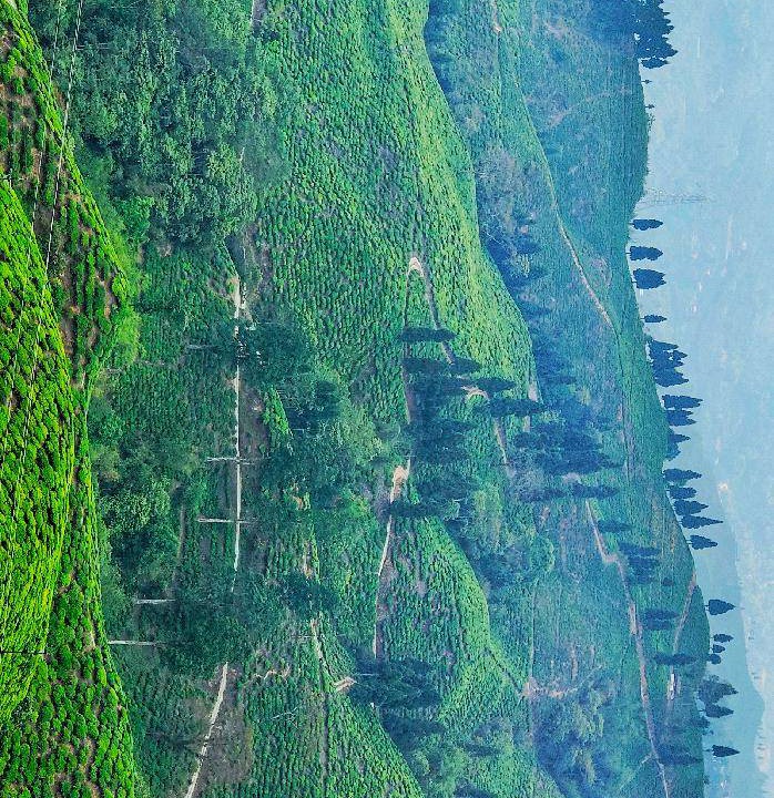 Photo of Others in Mirik