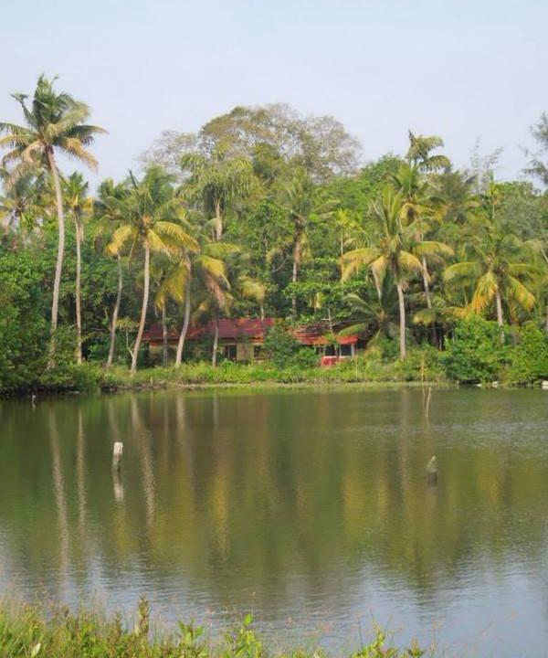 Photo of Others in Kumbalam