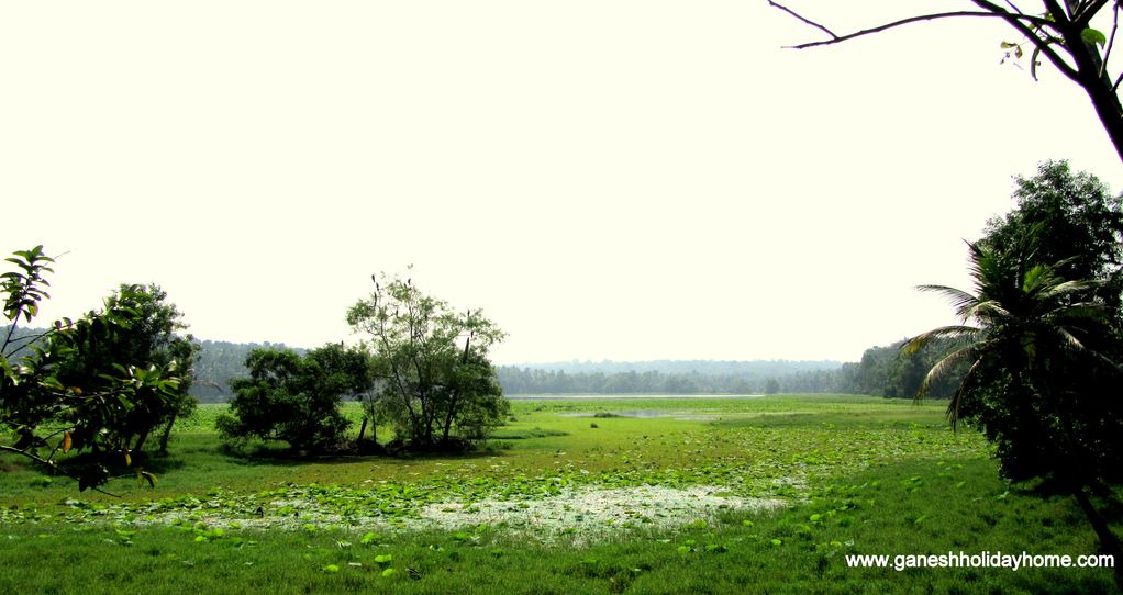 Photo of Others in Venganoor