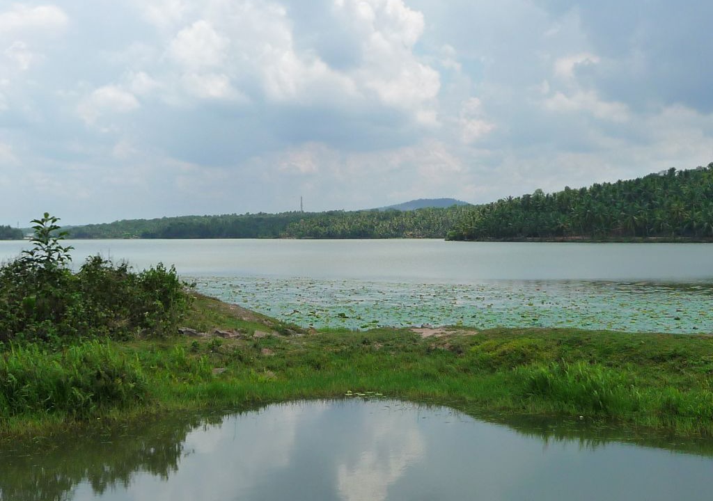 Photo of Outdoor in Venganoor