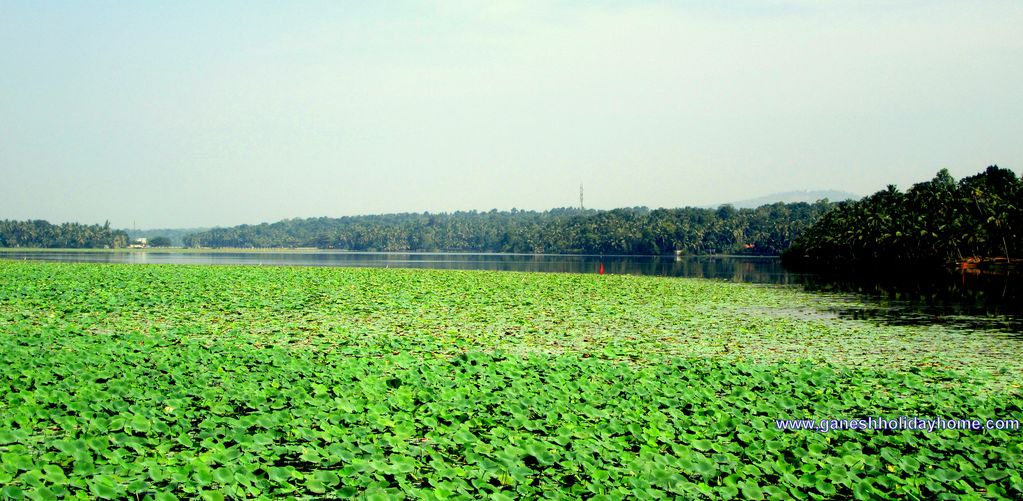 Photo of Others in Venganoor