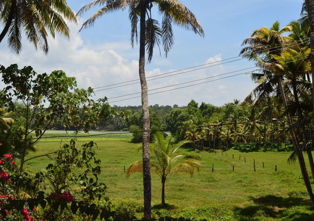 Photo of Outdoor in Venganoor