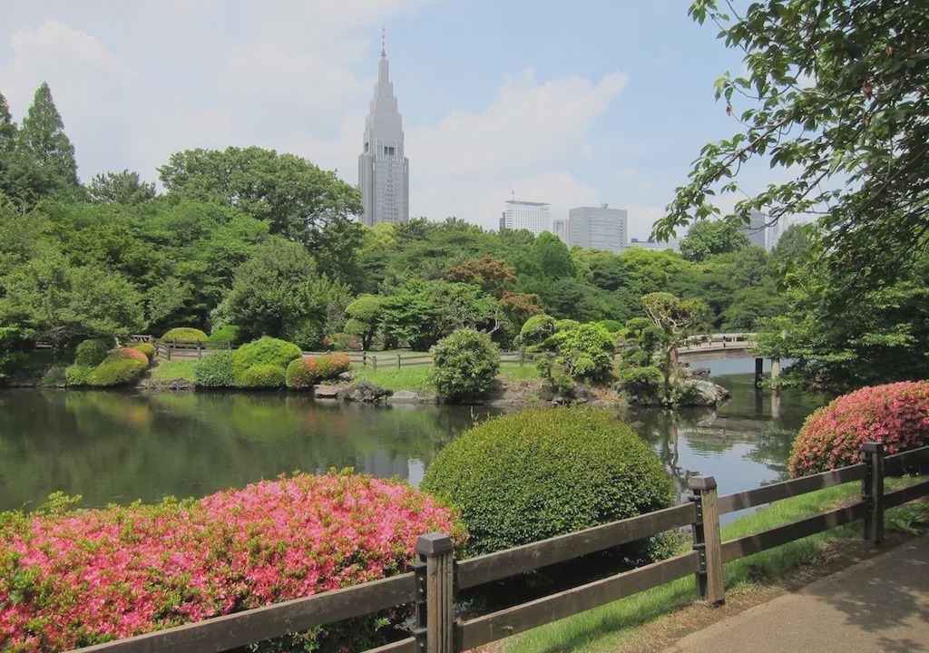 Photo of Others in Yotsuya