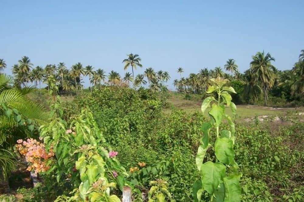 Photo of Outdoor in Varca