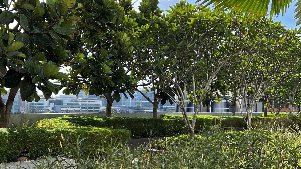 Photo of Outdoor in Putrajaya