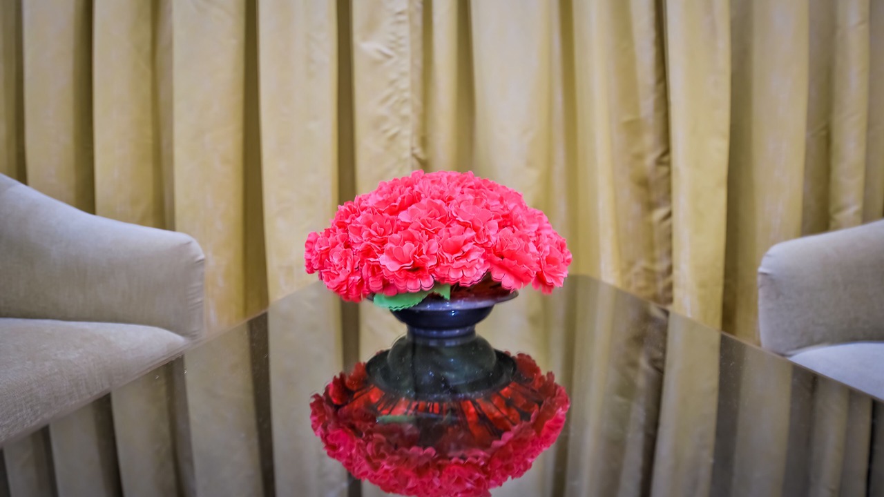 Photo of Livingroom in Pajifond