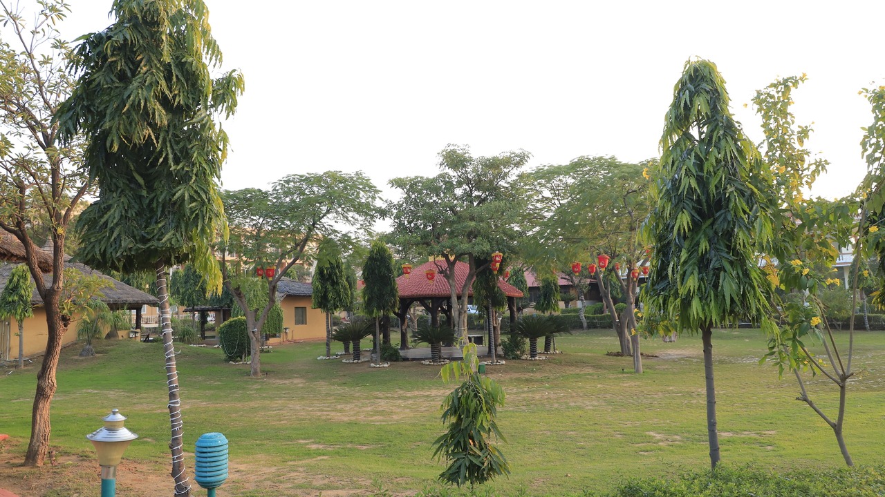 Photo of Outdoor in Behror