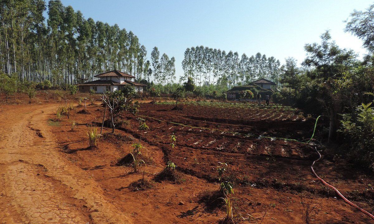 Photo of Outdoor in Koraput
