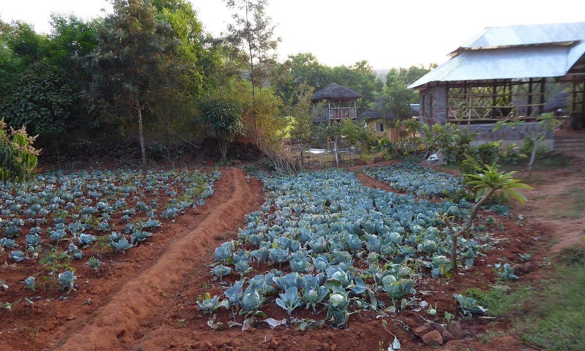 Photo of Outdoor in Koraput