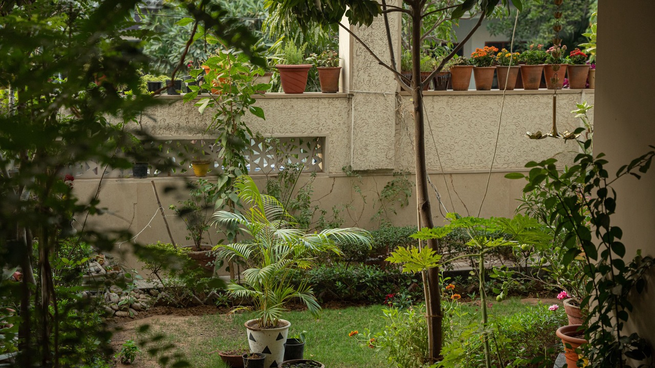 Photo of Outdoor in Jaipur