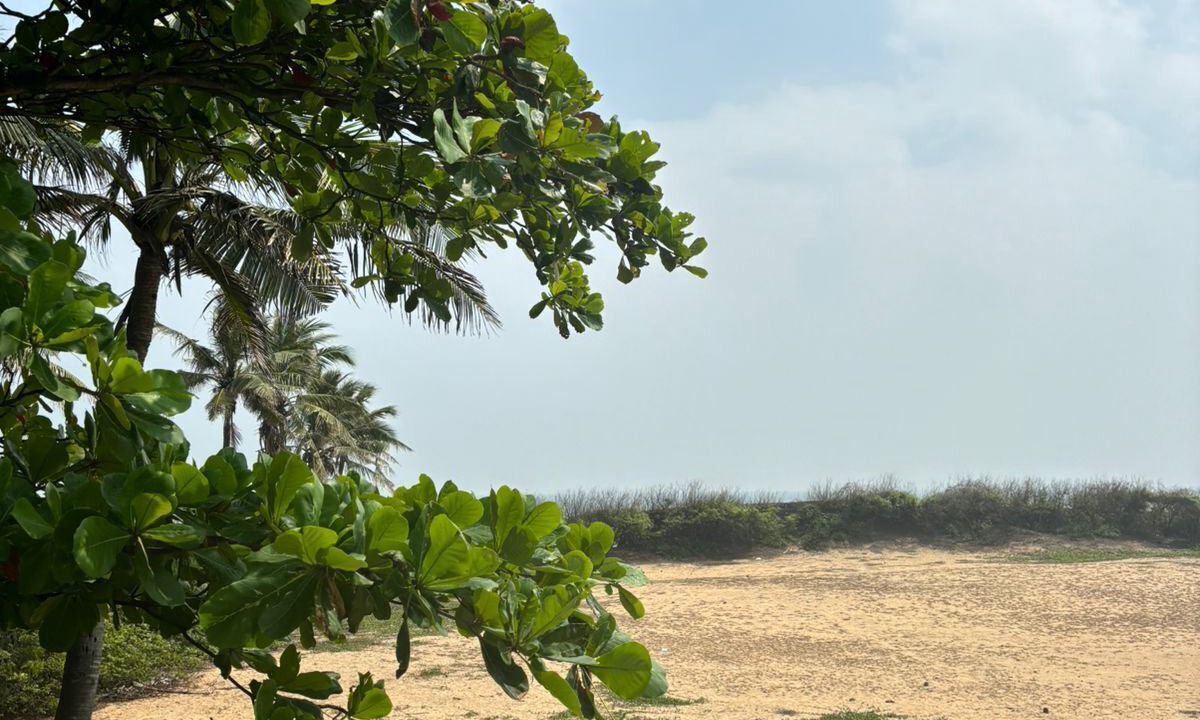 Photo of Others in Kanathur
