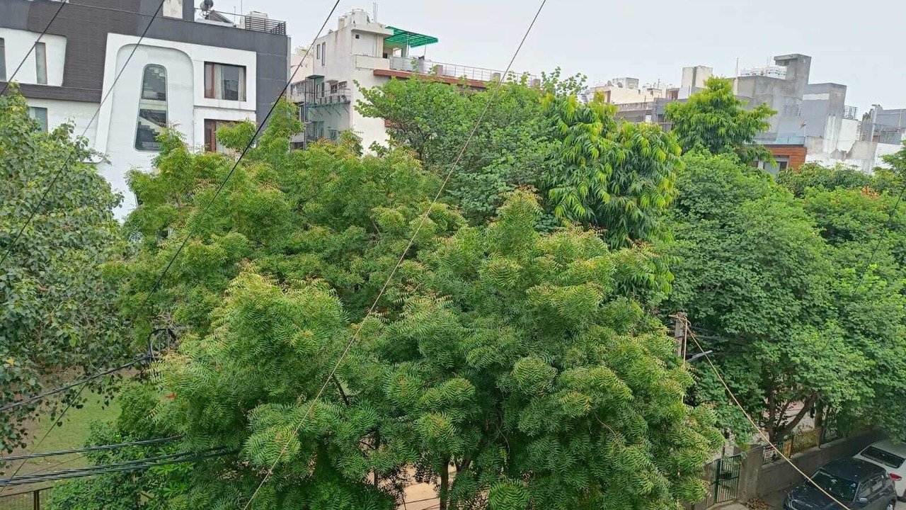 Photo of Others in Pashim Vihar