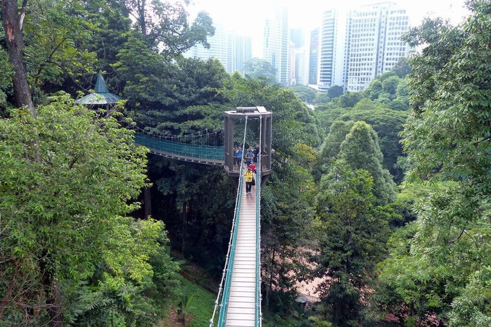 Photo of Others in Pudu