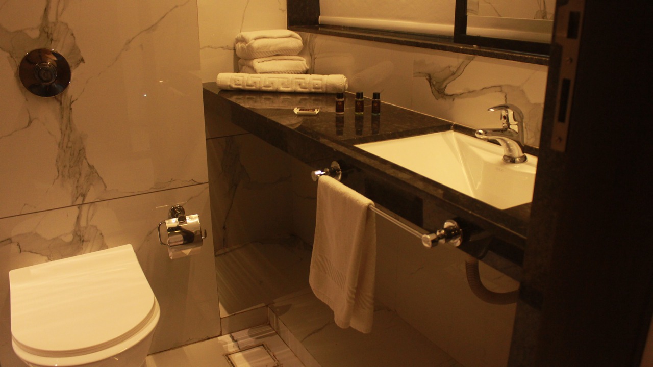 Photo of Bathroom in Navsari