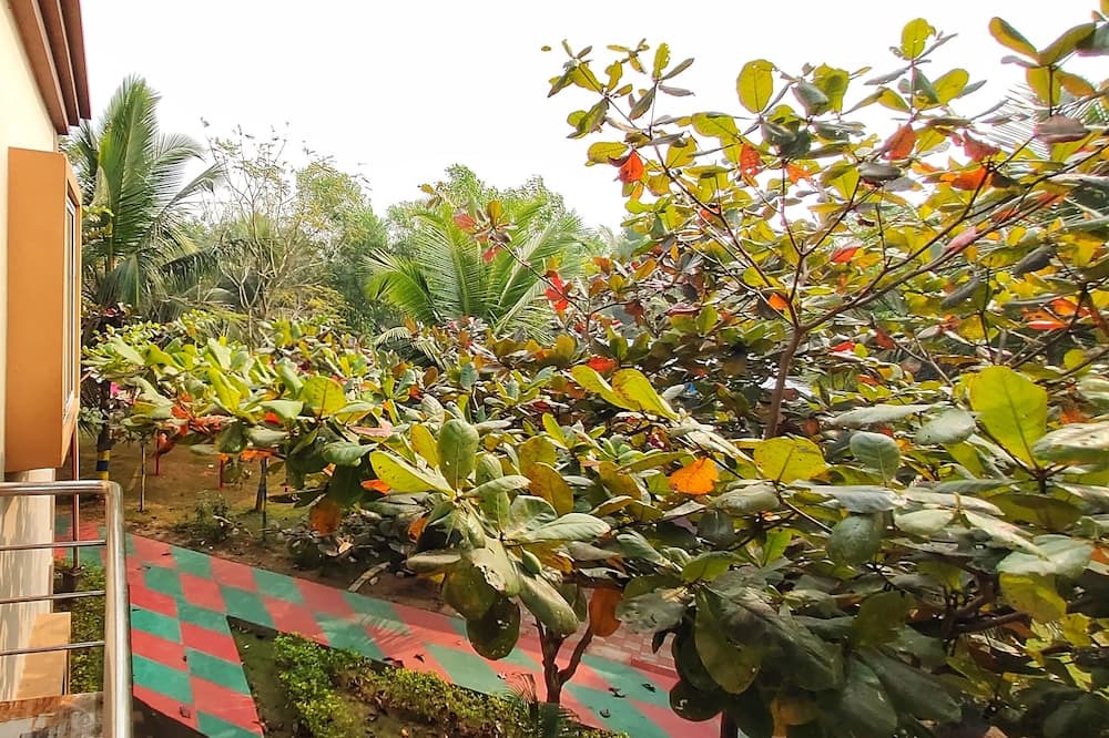 Photo of Outdoor in Garoi