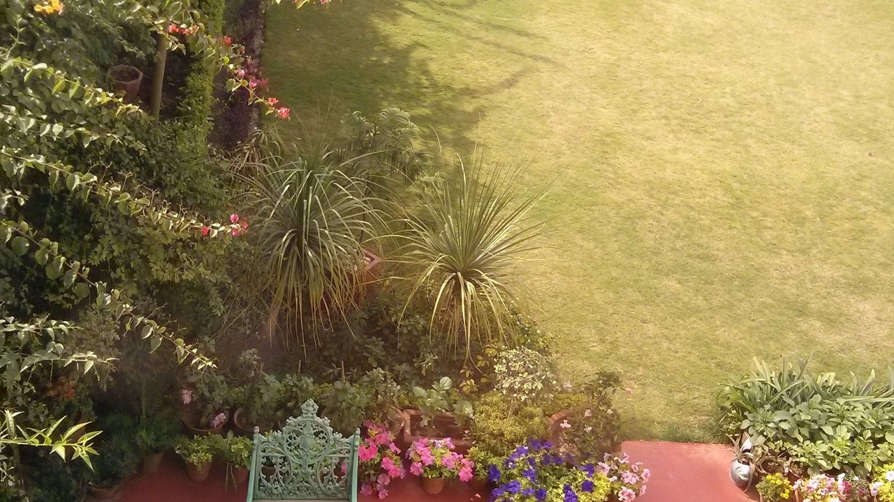 Photo of Outdoor in Bani Park