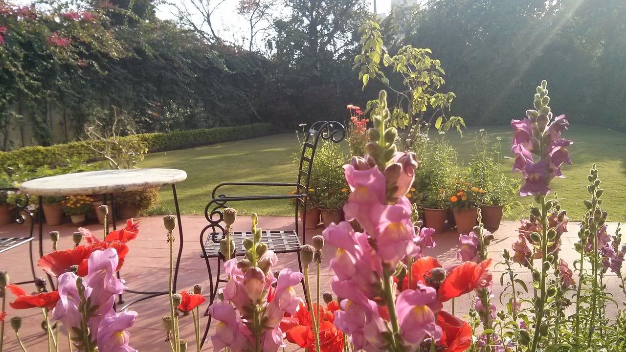 Photo of Outdoor in Bani Park