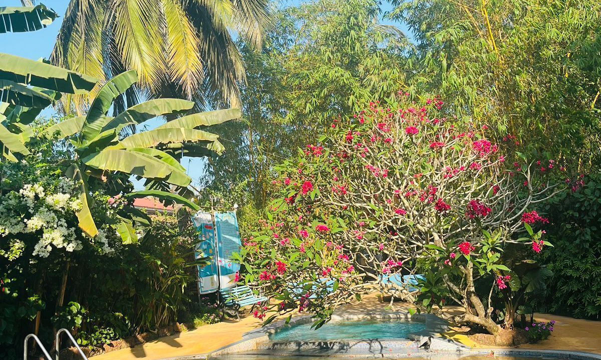 Photo of Outdoor in Baga
