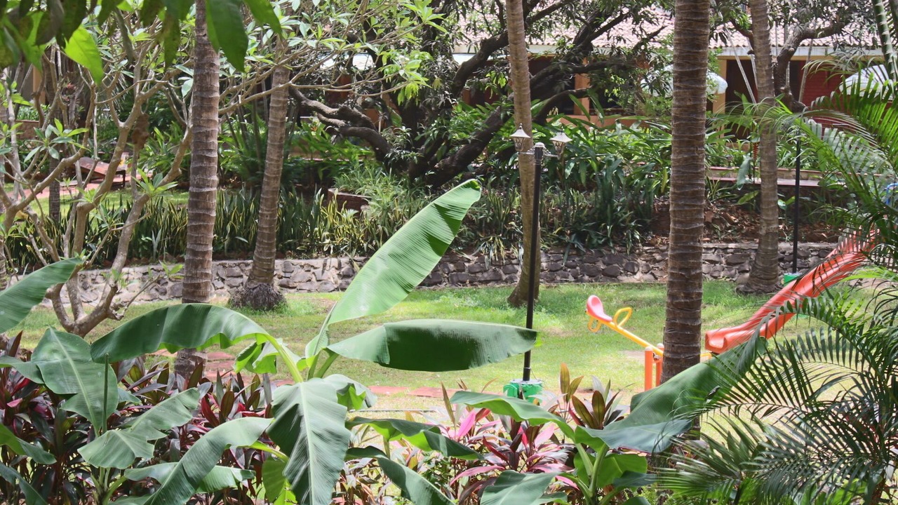 Photo of Outdoor in Alibaug