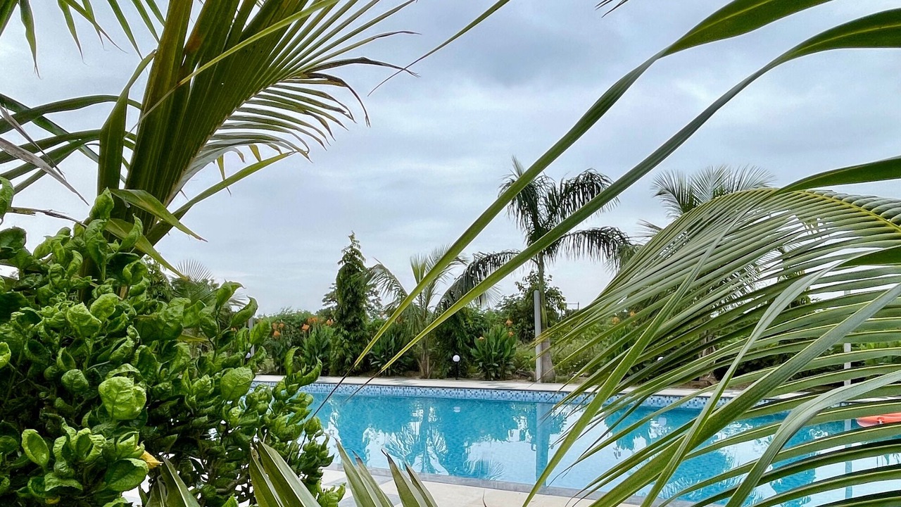 Photo of Outdoor in Rajpipla