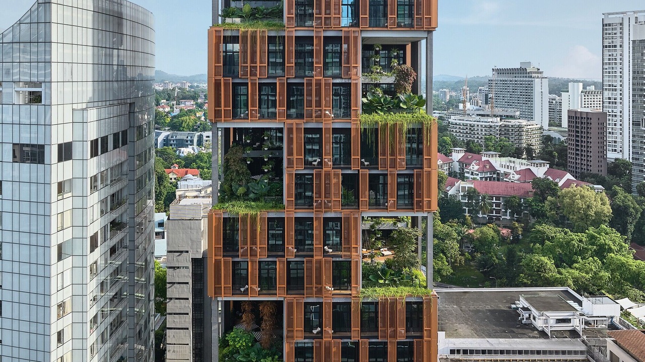 Photo of Outdoor in Orchard