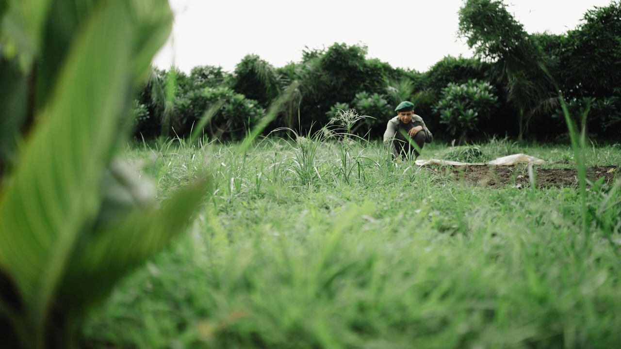 Photo of Outdoor in Talab