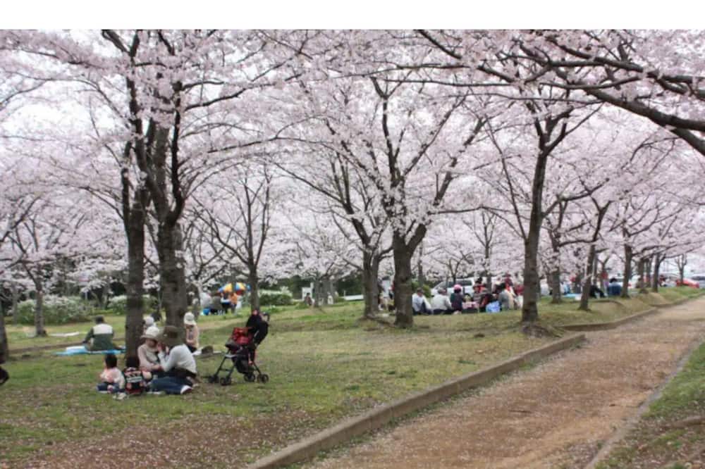Photo of Others in Higashisumiyoshi-ku