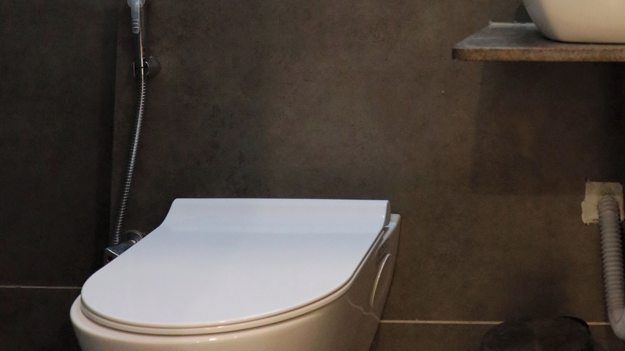 Photo of Bathroom in Rajpipla