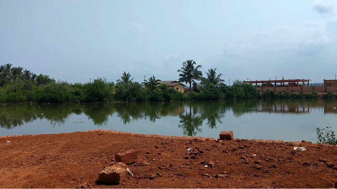 Photo of Others in Honavar