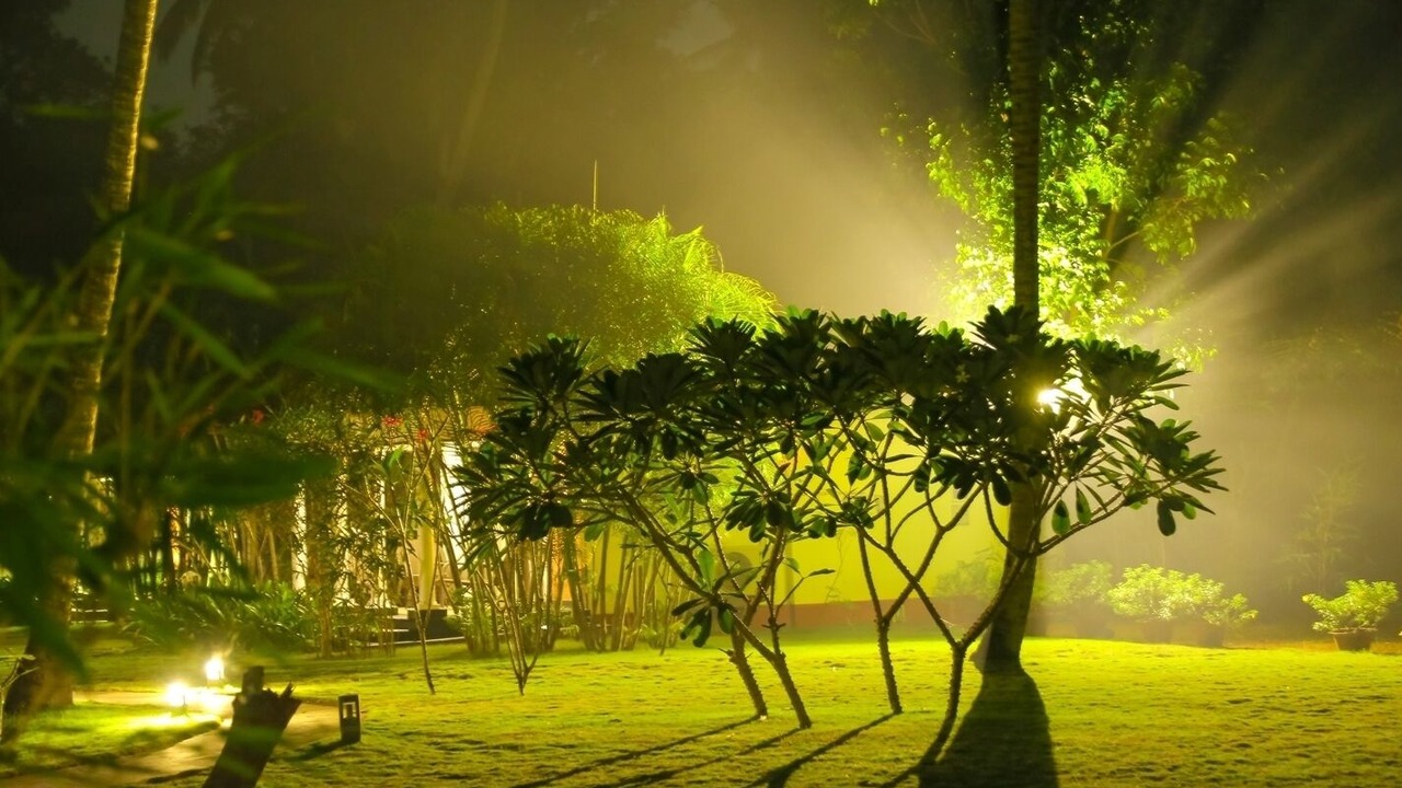 Photo of Outdoor in Alappuzha