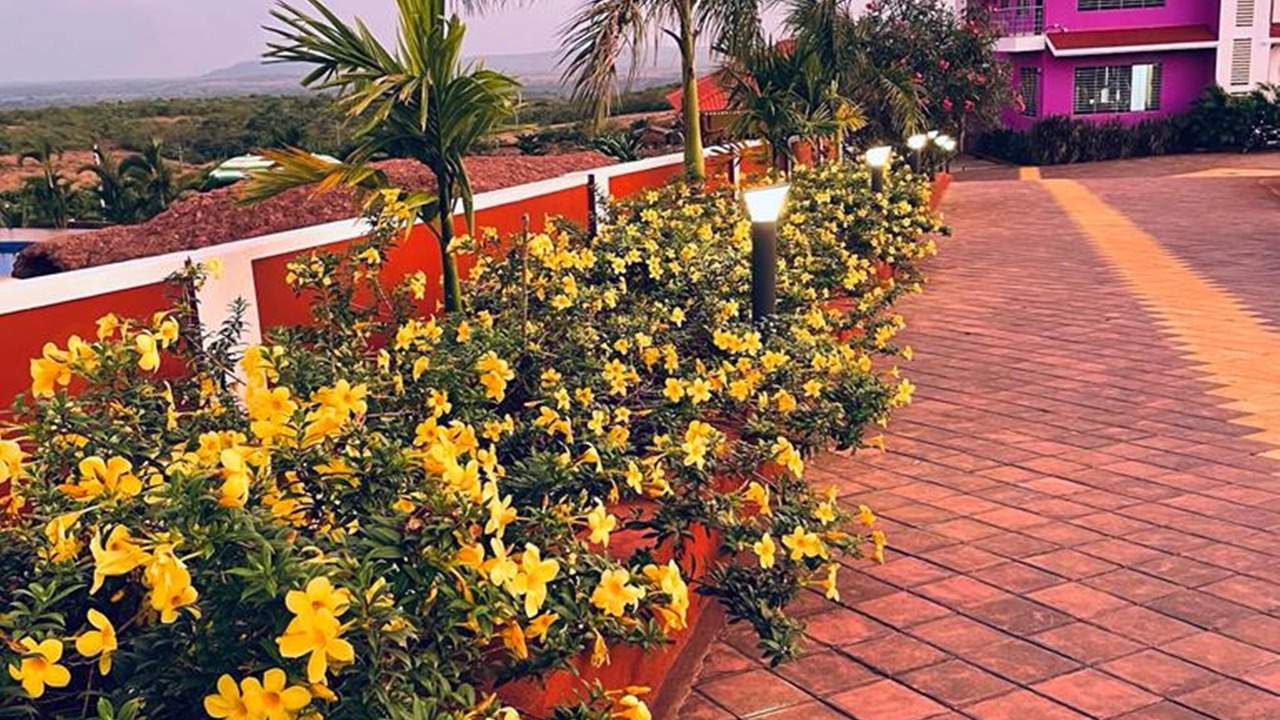 Photo of Outdoor in Devbag
