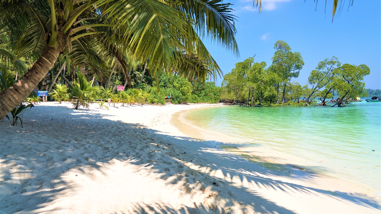 Photo of Others in Havelock Island
