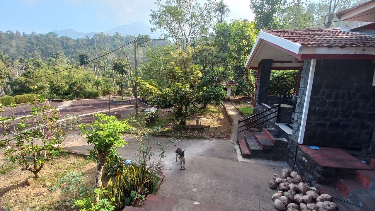 Photo of Outdoor in Mananthavady