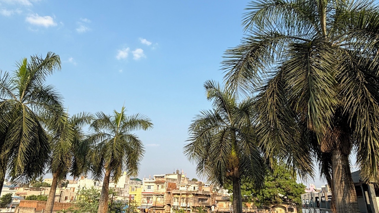 Photo of Outdoor in Bastar