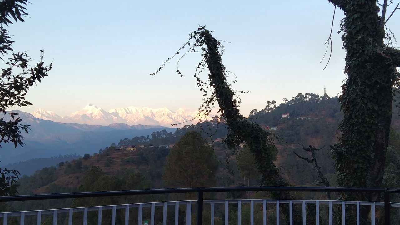 Photo of Outdoor in Majkhali