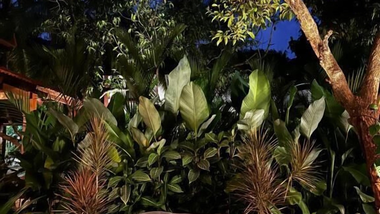 Photo of Outdoor in Consua