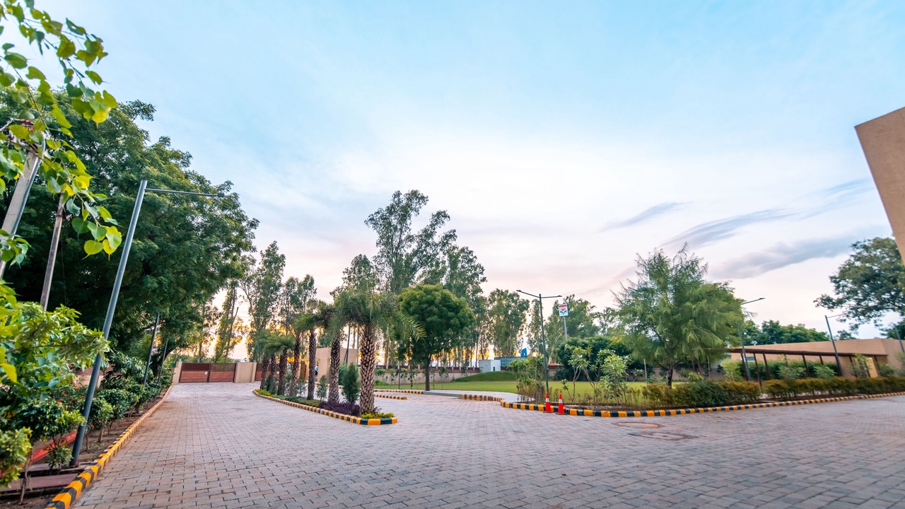 Photo of Outdoor in Alwar