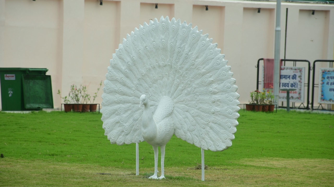 Photo of Outdoor in Islampur