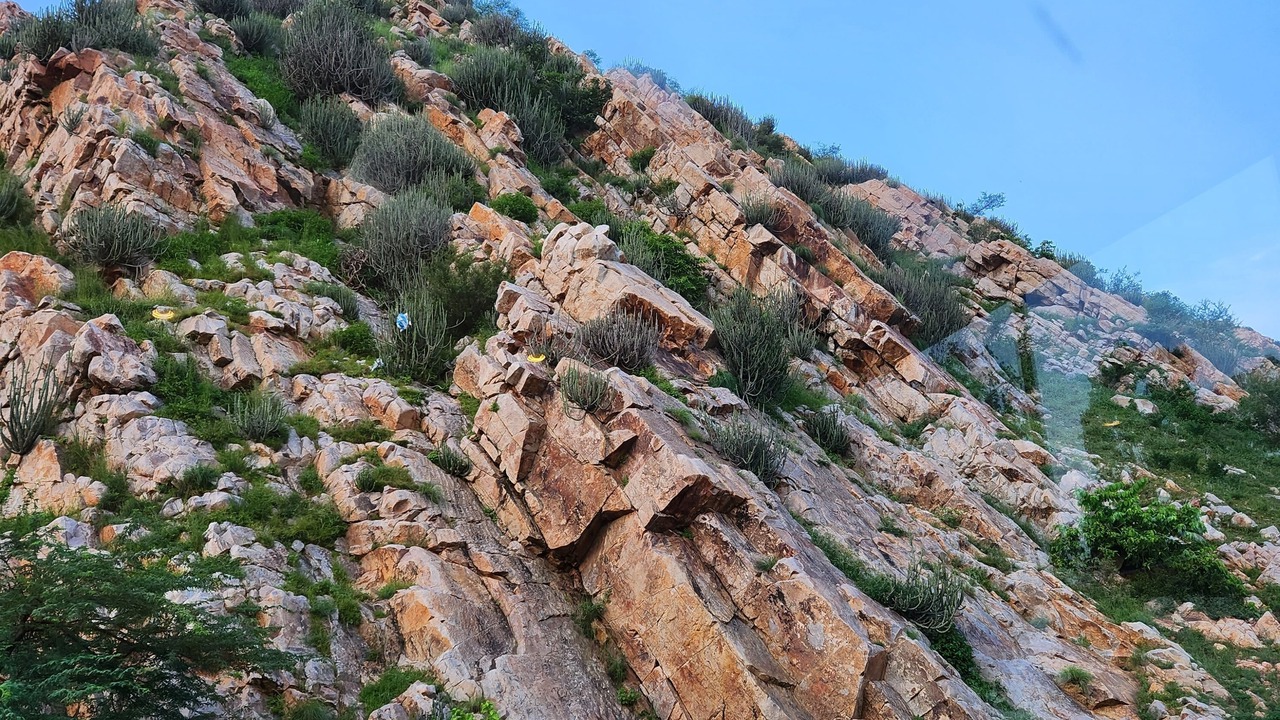Photo of Outdoor in Alwar